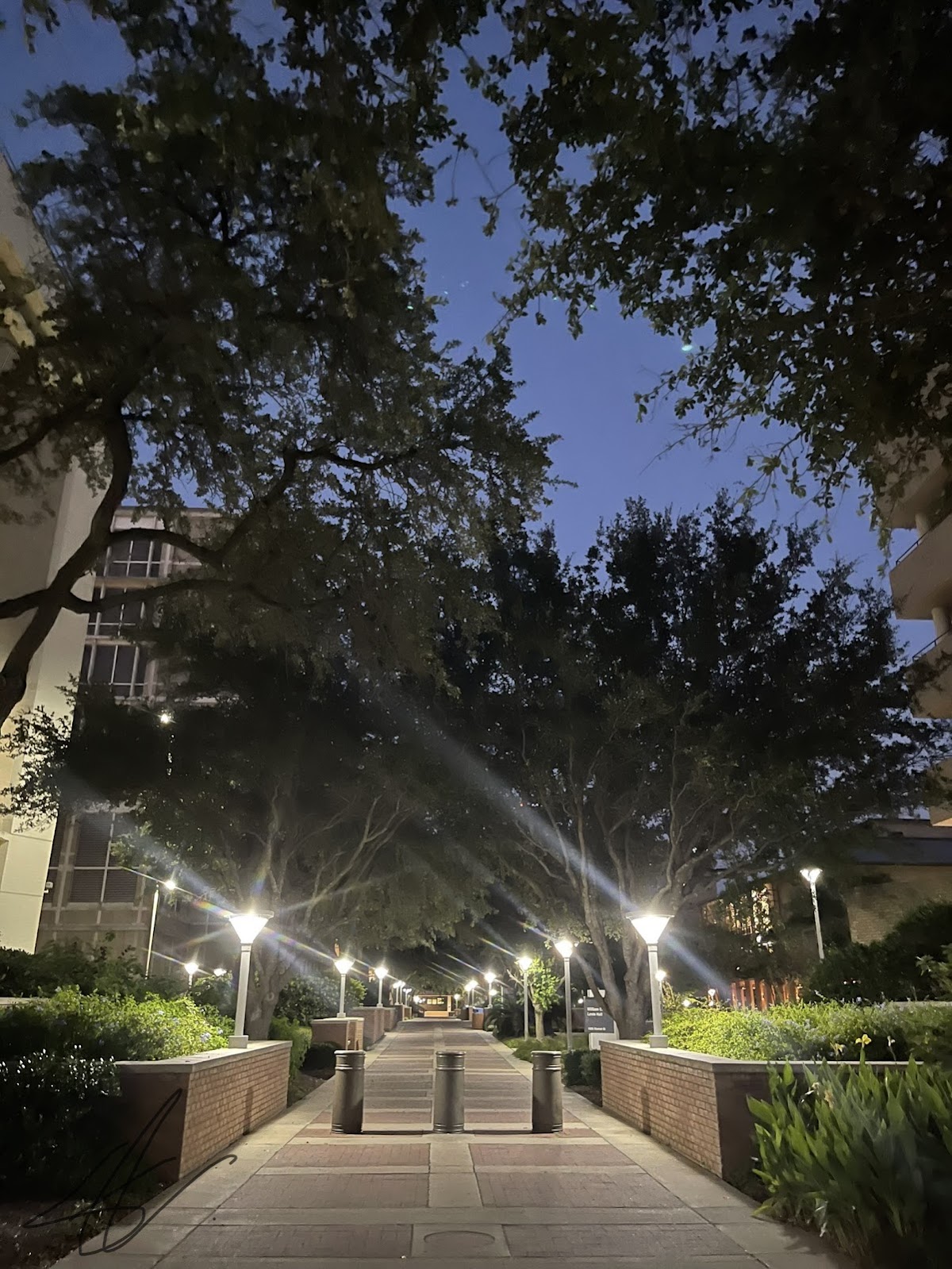 UTMB Health - University of Texas Medical Branch at Galveston - Photo 5