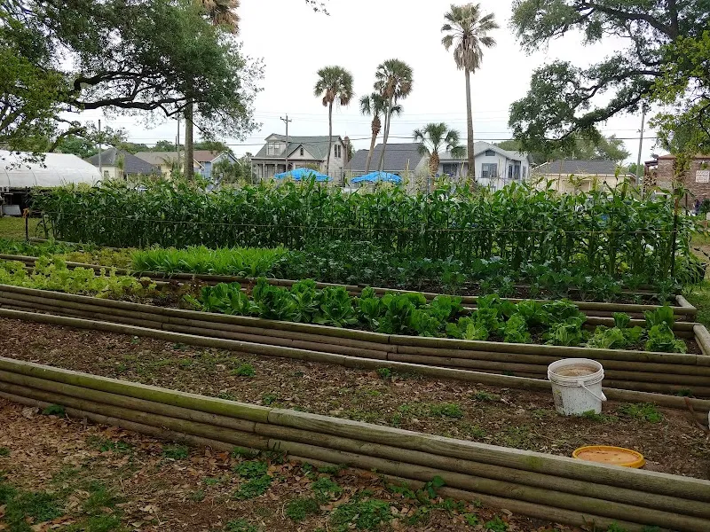 33rd Street Group - Photo 4