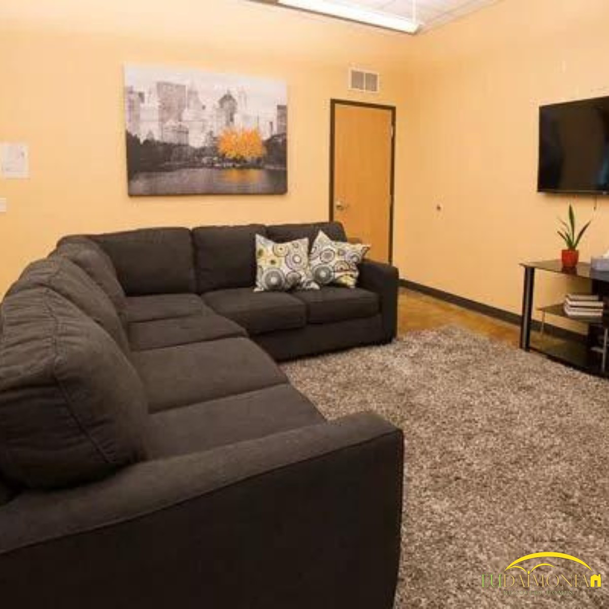 Eudaimonia Recovery Homes Sober Living - Houston, TX - Photo 4