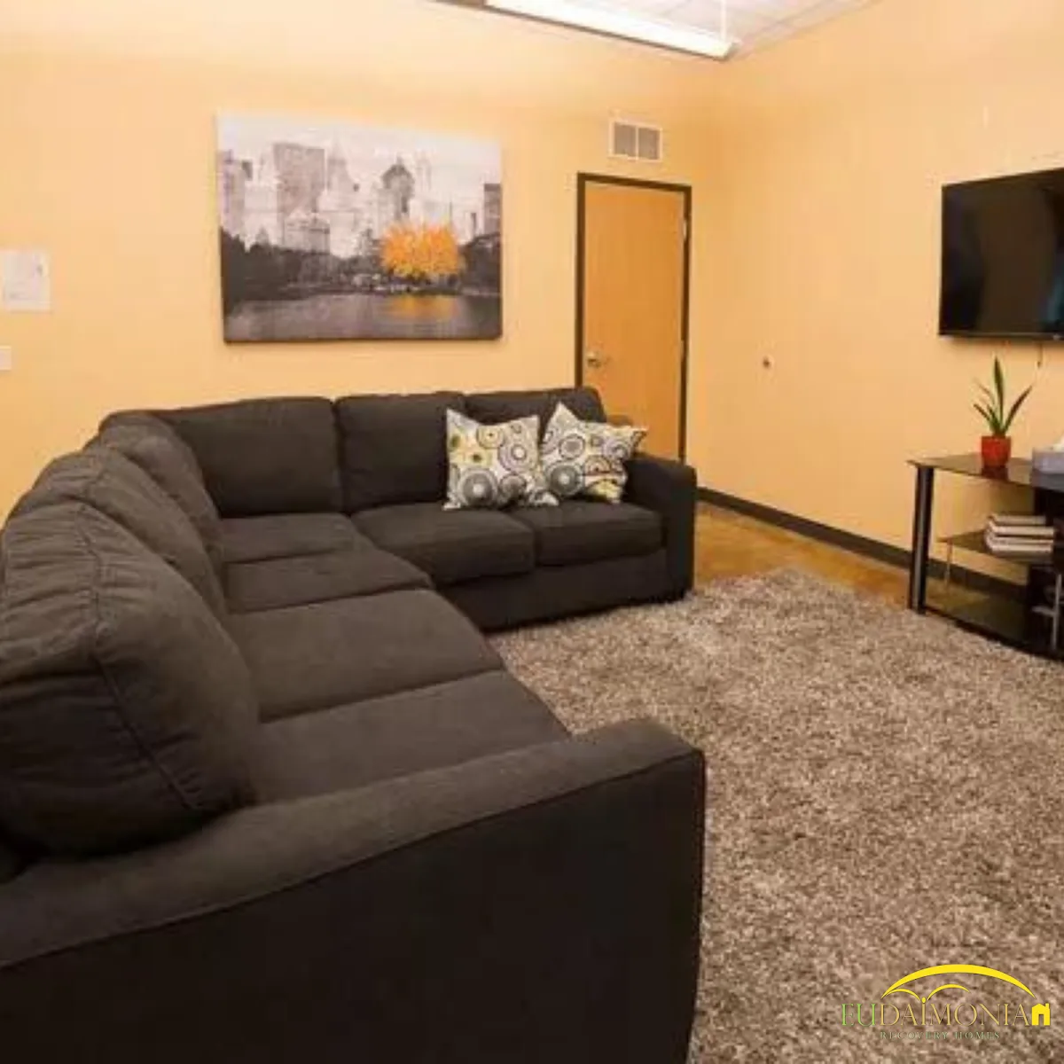 Eudaimonia Recovery Homes Sober Living - Houston, TX - Photo 5