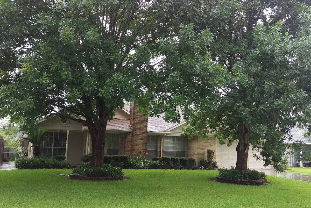 Nightshade Recovery - Photo 2