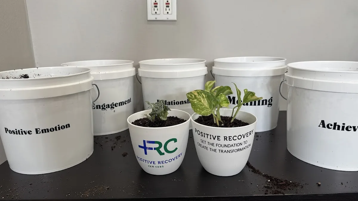 Positive Recovery Centers - Houston, Montrose