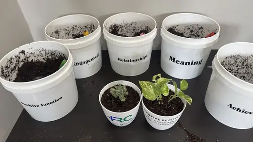 Potted plants with labels at Positive Recovery Centers - Houston, Montrose treatment center in Galveston.