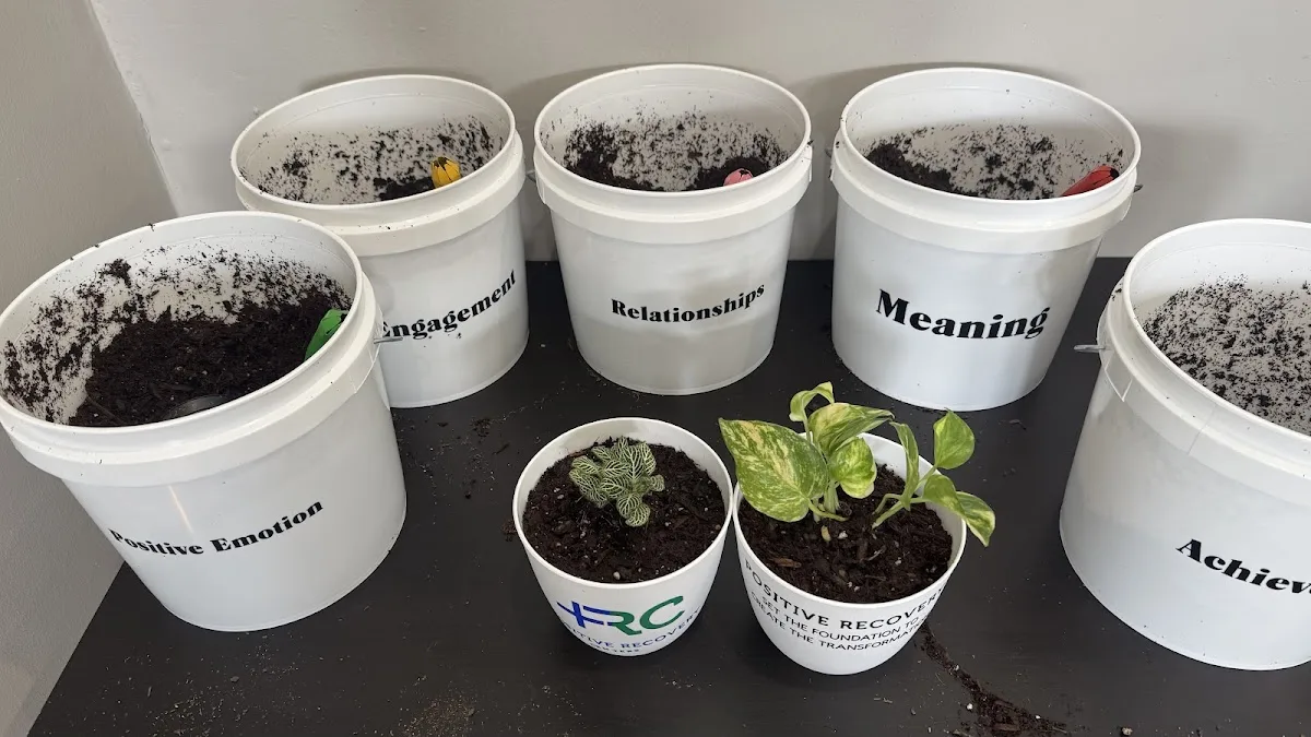 Positive Recovery Centers - Houston, Montrose